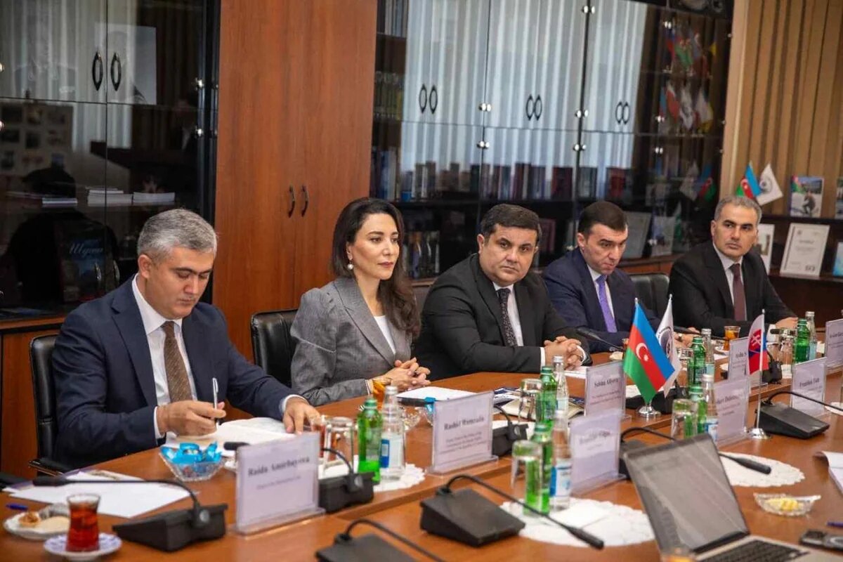 Azərbaycan və Slovakiya ombudsmanları əməkdaşlığı müzakirə ediblər