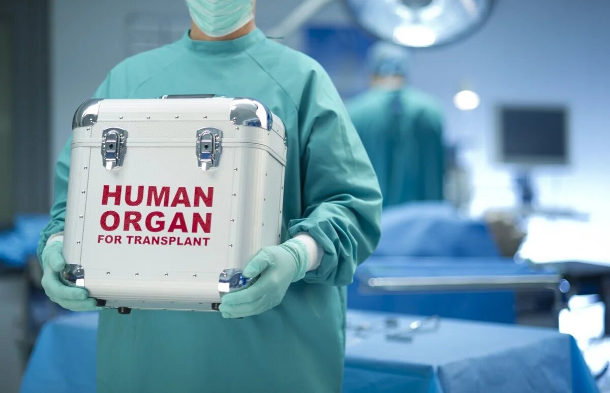 Bu ilin ilk üç ayında Azərbaycanda 15-ə yaxın meyit donorunun orqanı başqasına köçürülüb