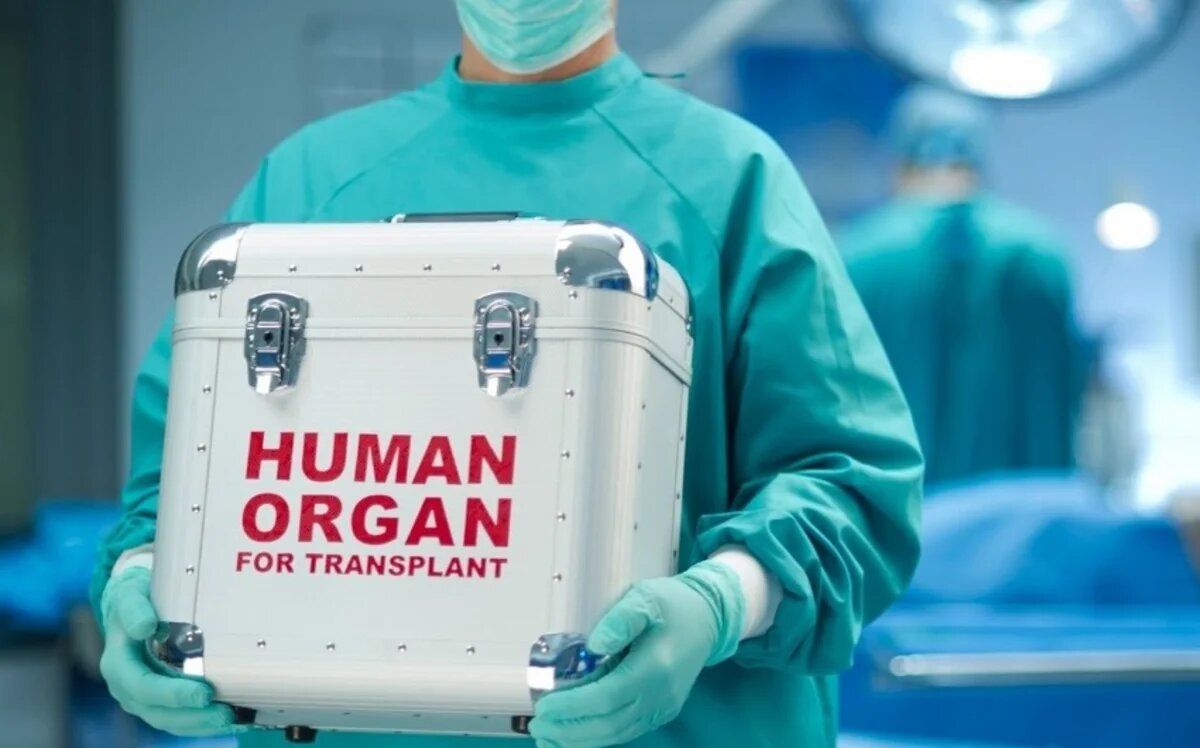 Azərbaycanda beyin ölümü keçirmiş 13 meyit donordan 73 orqan və toxuma transplantasiya edilib