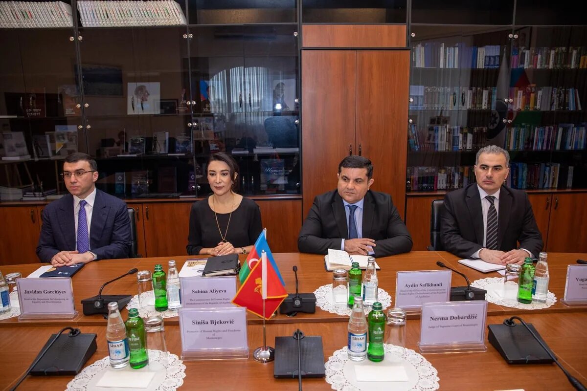 Səbinə Əliyeva monteneqrolu həmkarı ilə əməkdaşlığı müzakirə edib