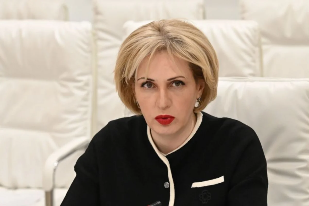 Eka Sepaşvili: Azərbaycan Prezidentinin səsləndirdiyi fikirlər Brüsselin yürütdüyü siyasətə layiqli cavabdır