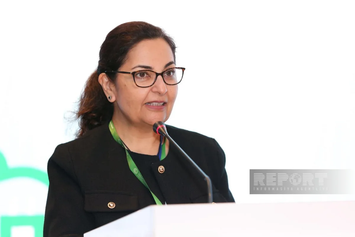 Sunniya Durrani-Camal: "Azərbaycan ADB-dən dəniz külək enerjisinin inkişafına dəstək istəyib"