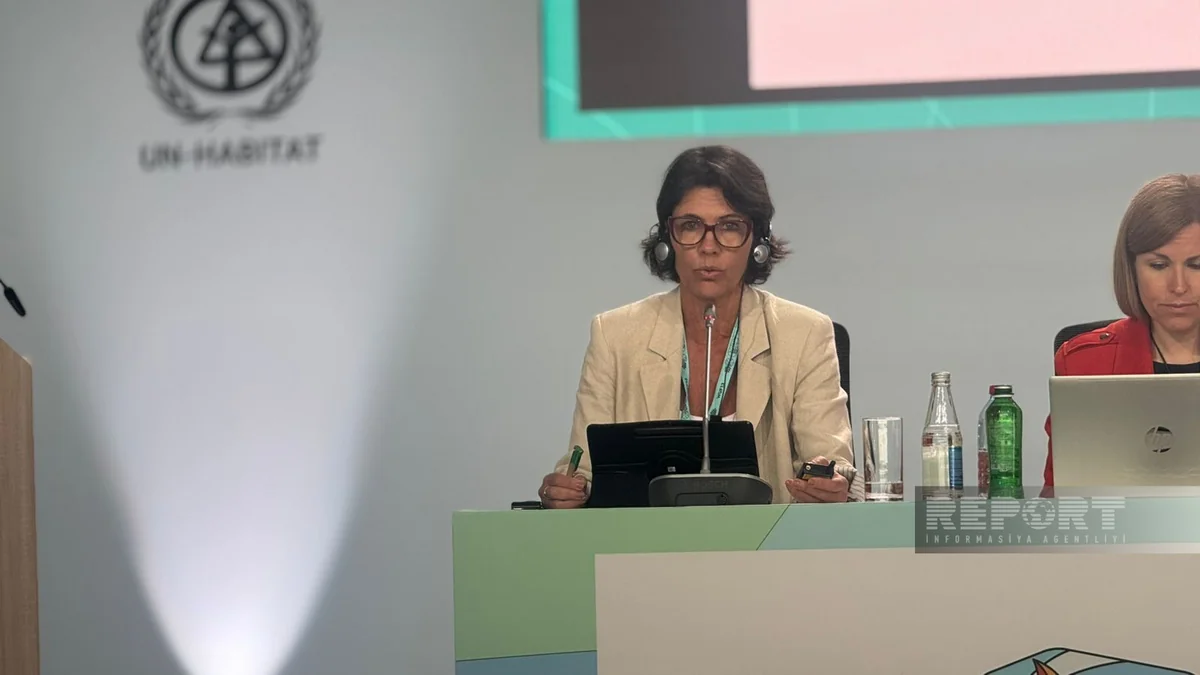     Braziliya rəsmisi böyük şəhərlərdə yaşayış probleminin artdığını bildirib